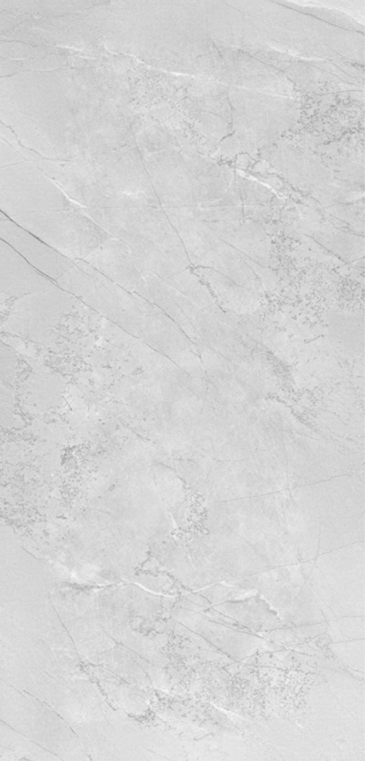 ARTIC PEARL artic pearl 2