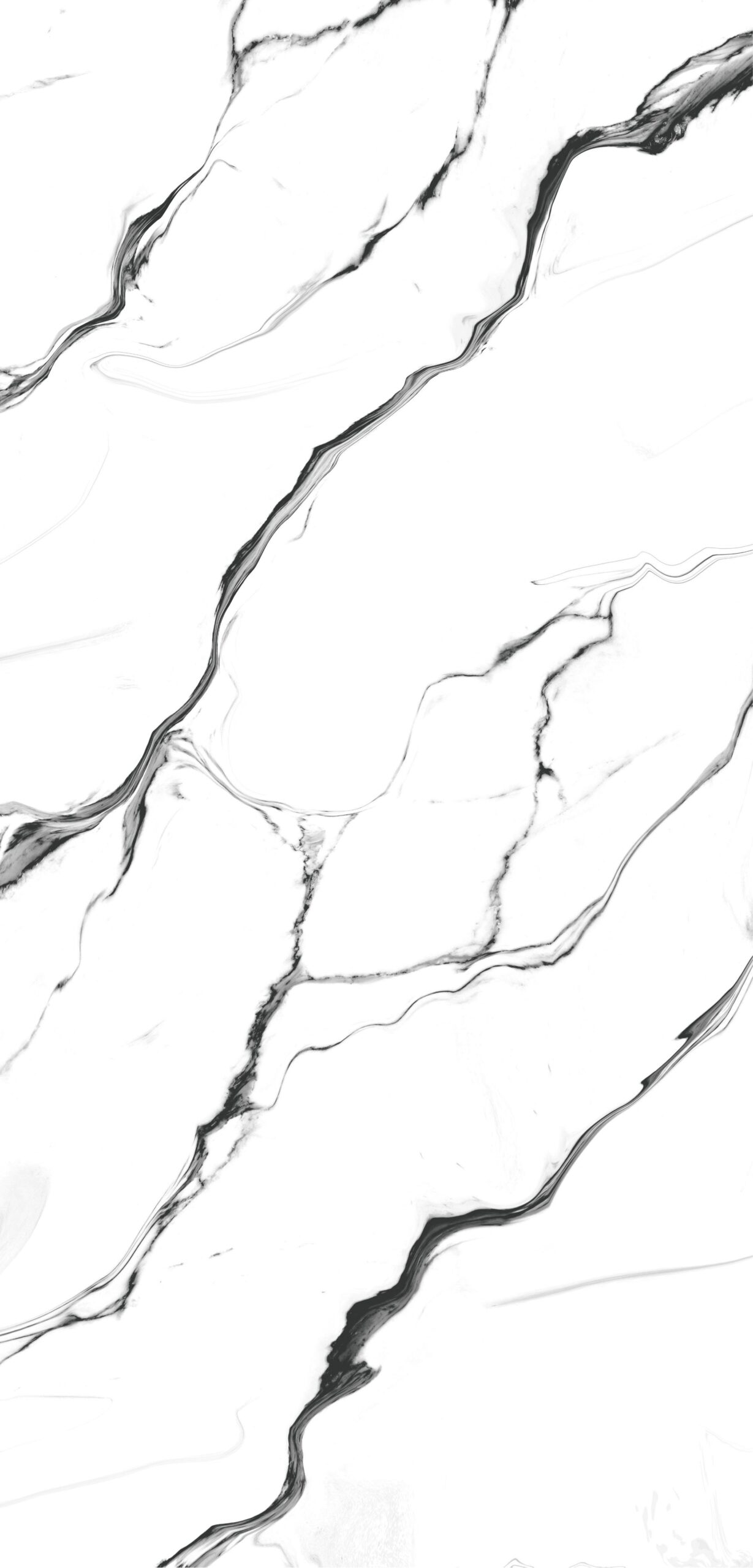 NOIR BLANC 1 Scaled