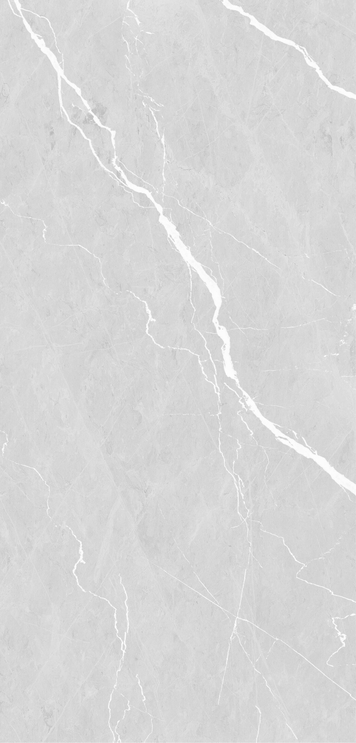 SILVER GREY 60X125 1 Scaled